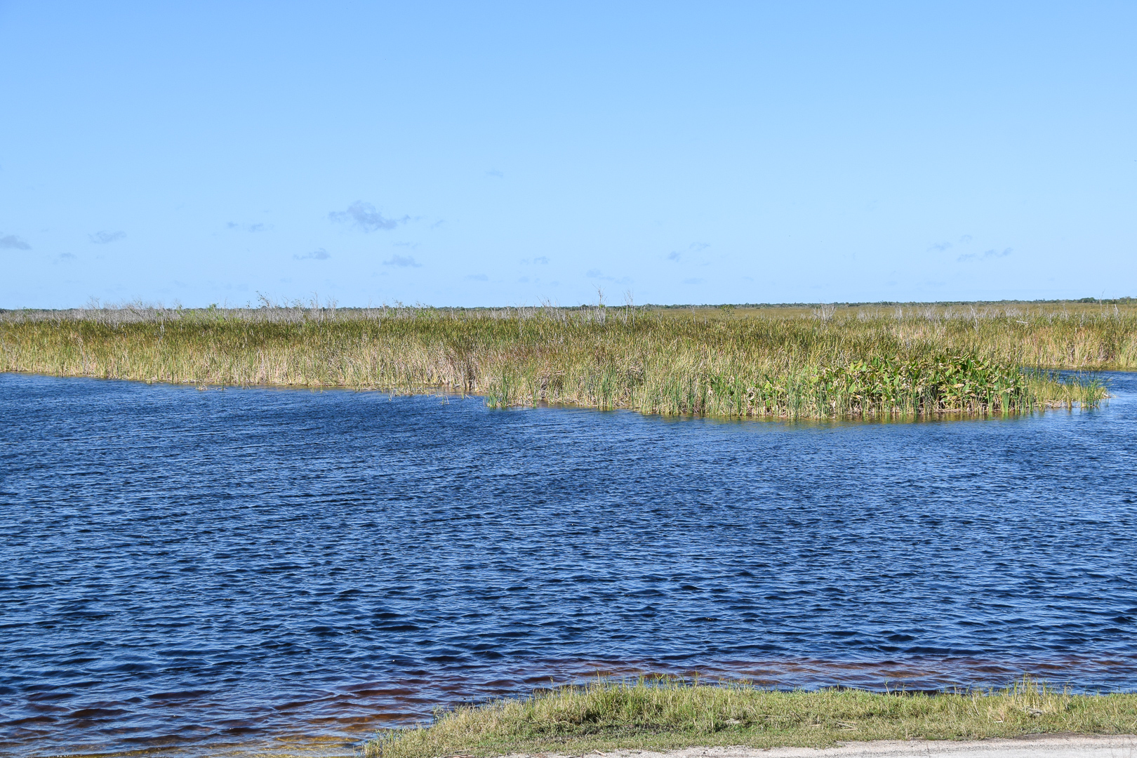 Tour Of Loxahatchee National Wildlife Refuge - Not In Jersey