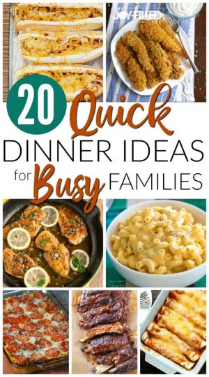 Quick Family Dinner Ideas Round Up - Not In Jersey