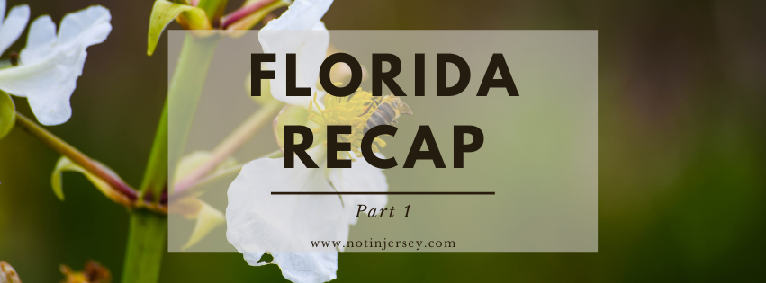 Florida Recap Part 1 – Travel and Green Cay