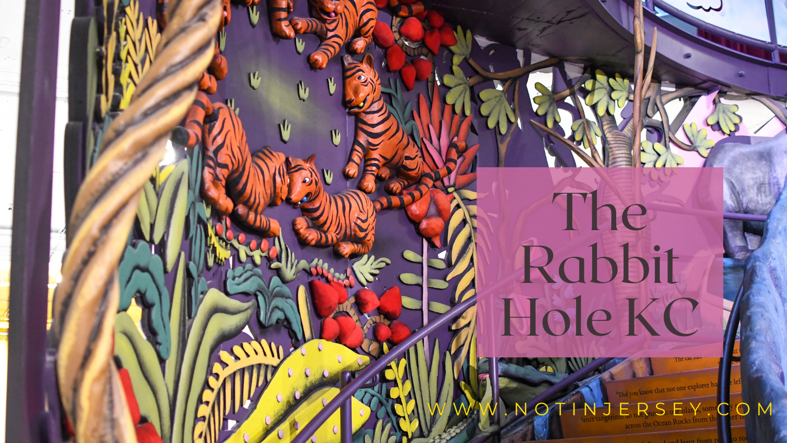 The Rabbit Hole KC - Not In Jersey