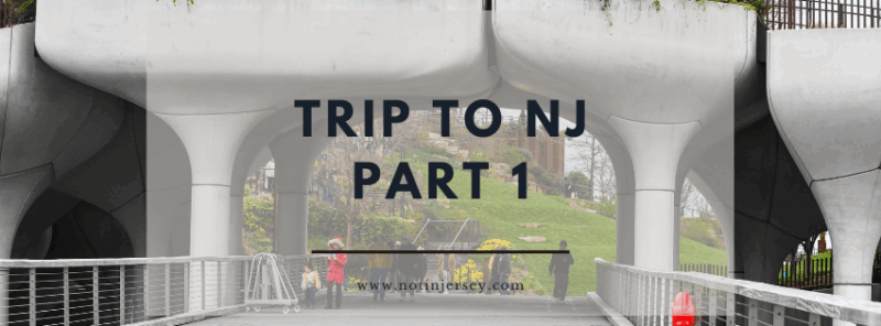 Trip to NJ Part 1 - NYC Visit