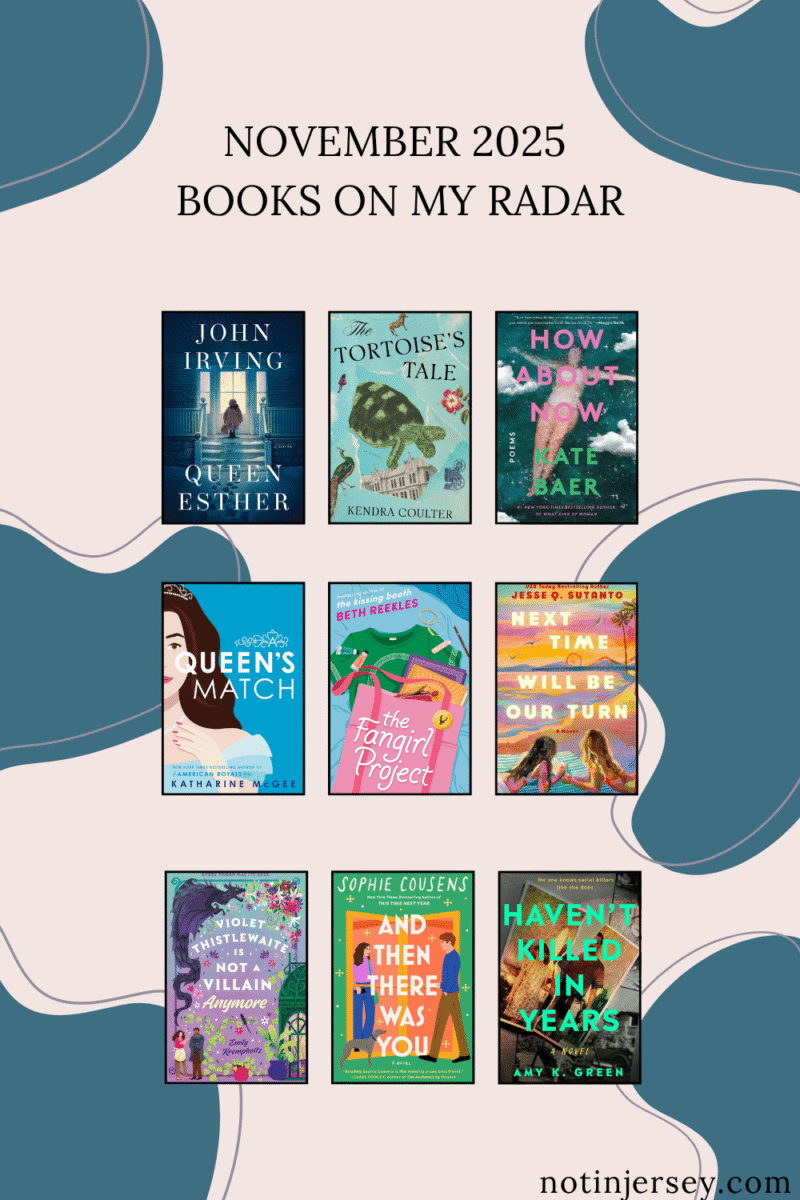 November 2025 Books on my Radar