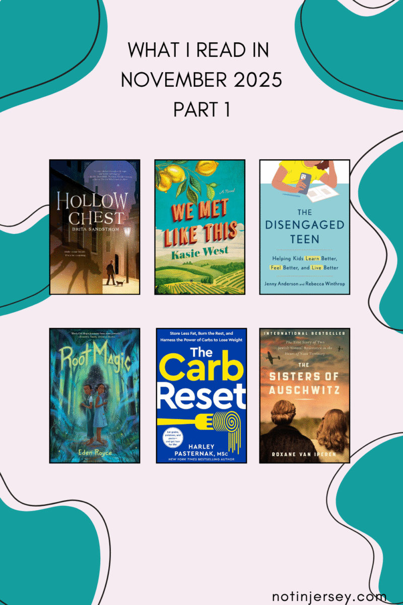 What I Read in November 2025 Part 1