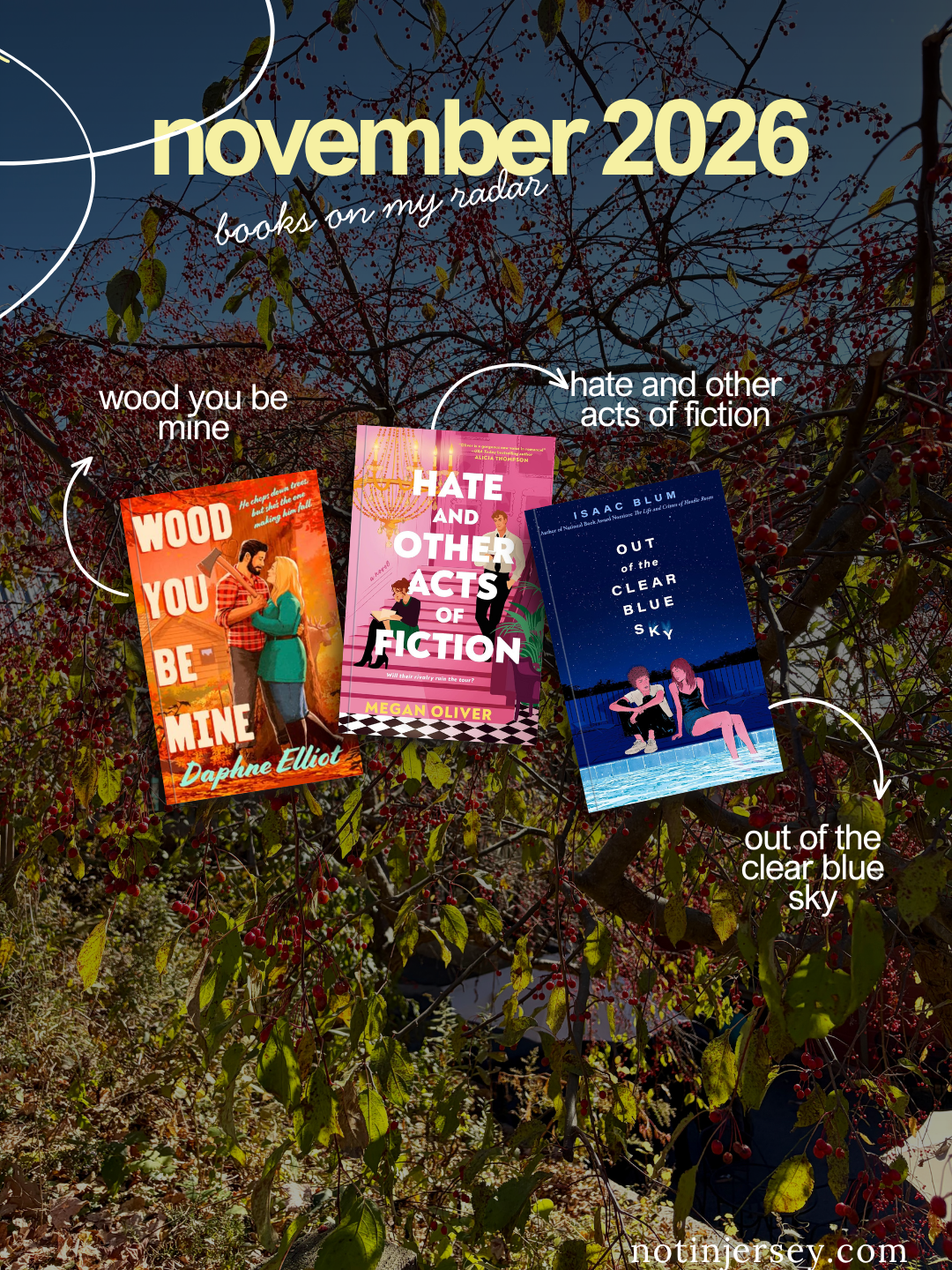 November 2026 Books On My Radar